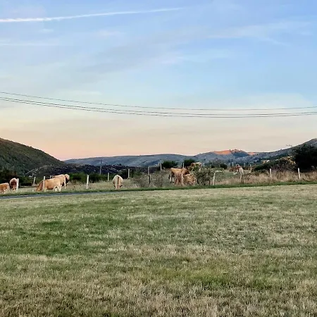 Maison Renovee En Plein Coeur Des Cevennes *